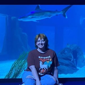 Meet your Posher, Nova